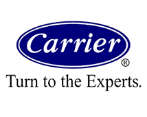 Carrier